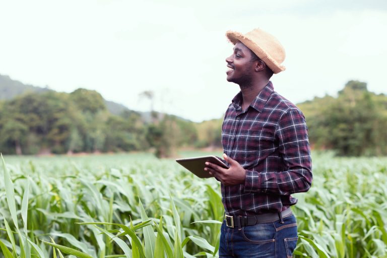 Farmer entrepreneur reviewing farm data in wheat field, promoting sustainable agri-food practices