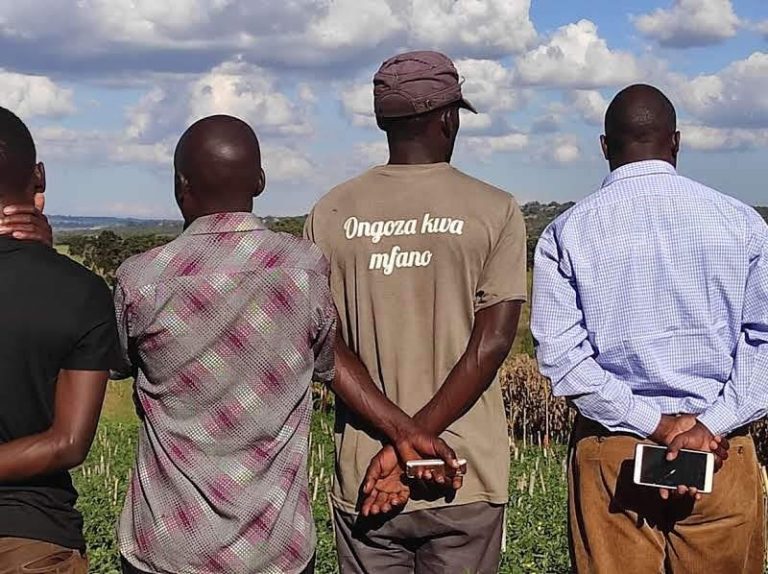 A view of four farmers, showing their backs looking out over hilly fields in Tanzania.