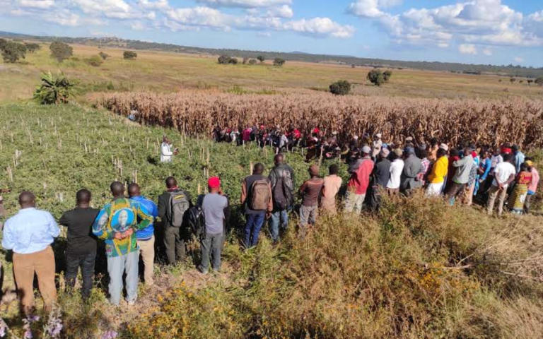 Training group gathered around the edge of a field in Tanzania