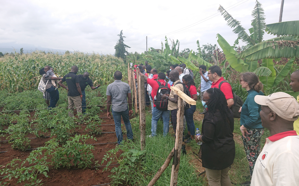 Visit to a farm during 2SCALE of iCRA