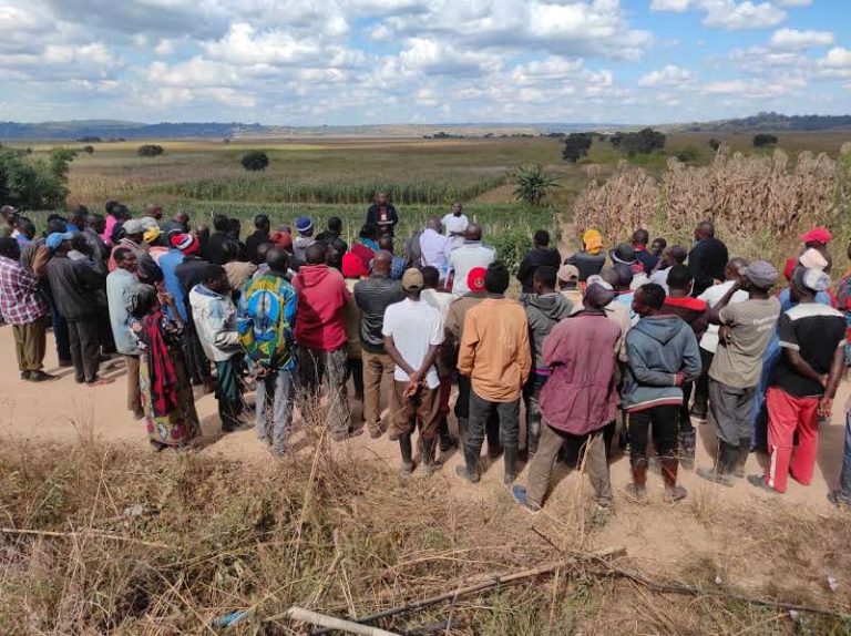 A group of participants gathered looking out over a field in Tanzania