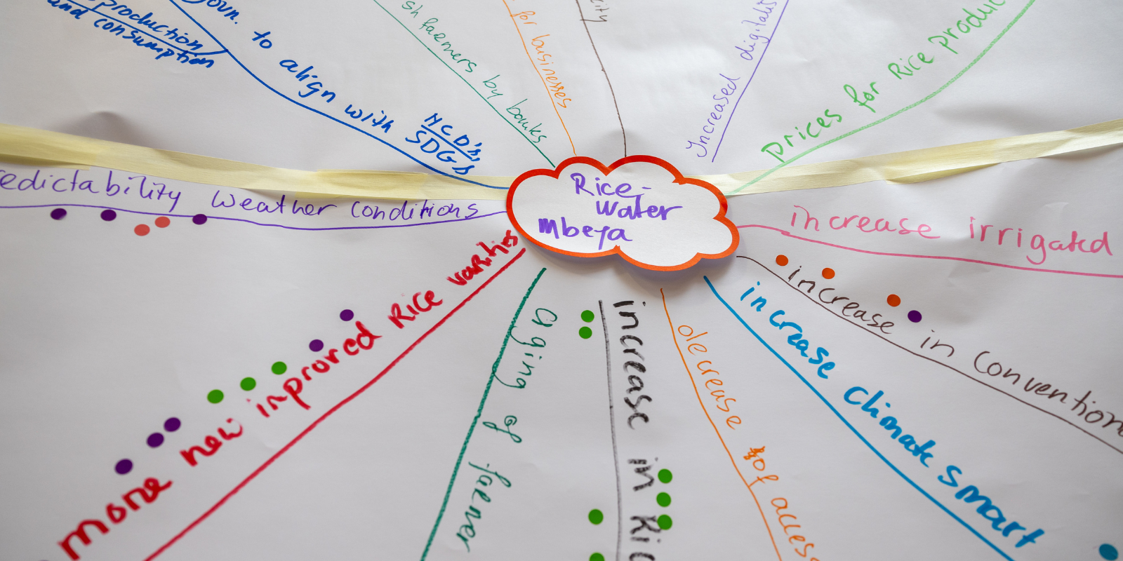 Trend map highlighting sustainable agribusiness practices in water management for Tanzania's rice farming through iCRA