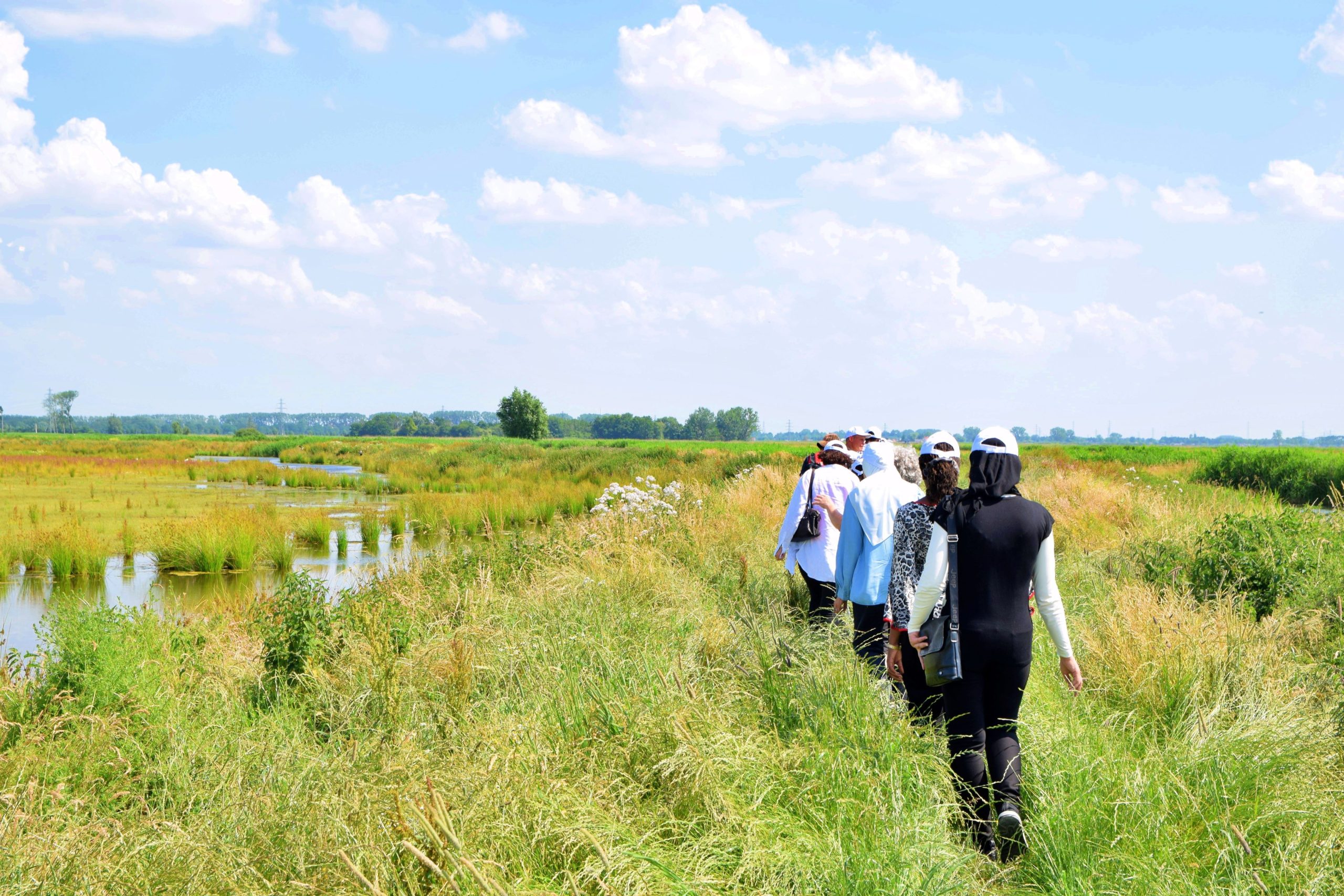 Dutch landscape showcasing farmland, canals, and windmills, reflecting agricultural sustainability