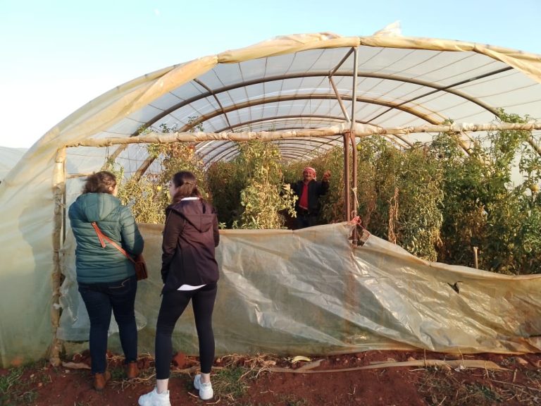 Visitors exploring a polytunnel in Lebanon, learning quality practice training for farming