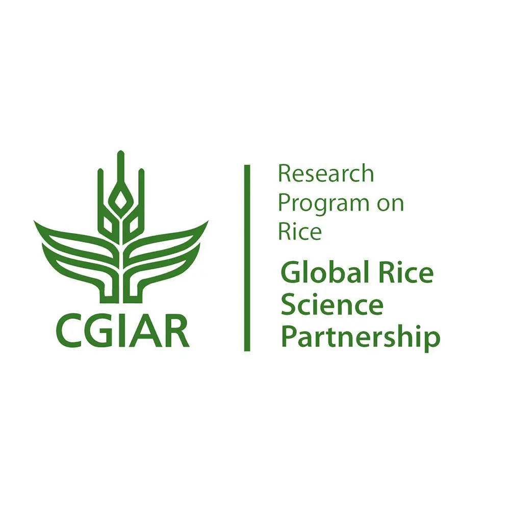 CGAIR Logo