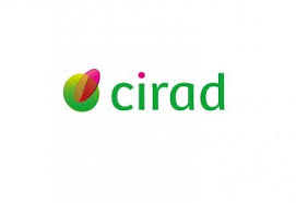 CIRAD logo