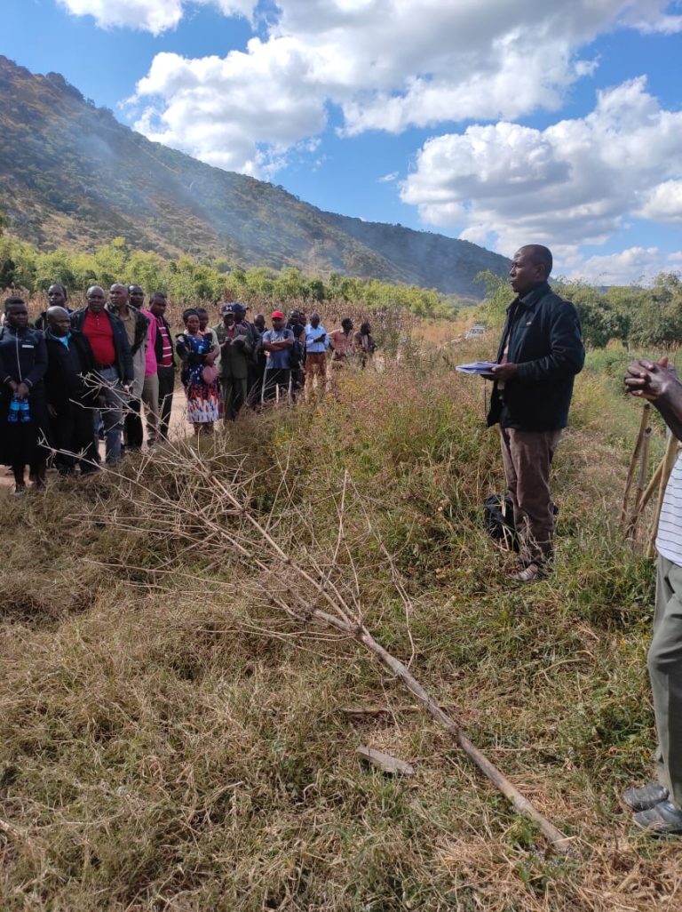 Agribusiness cluster Tanzania