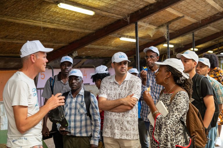 People during a project wearing iCRA hats