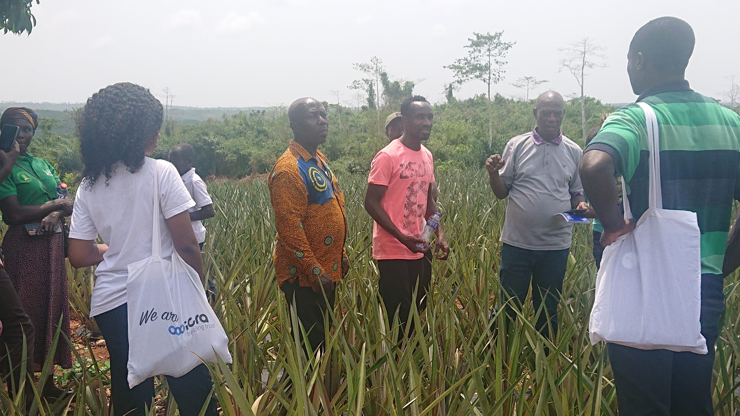 Ghana Making Agribusiness Work 2025