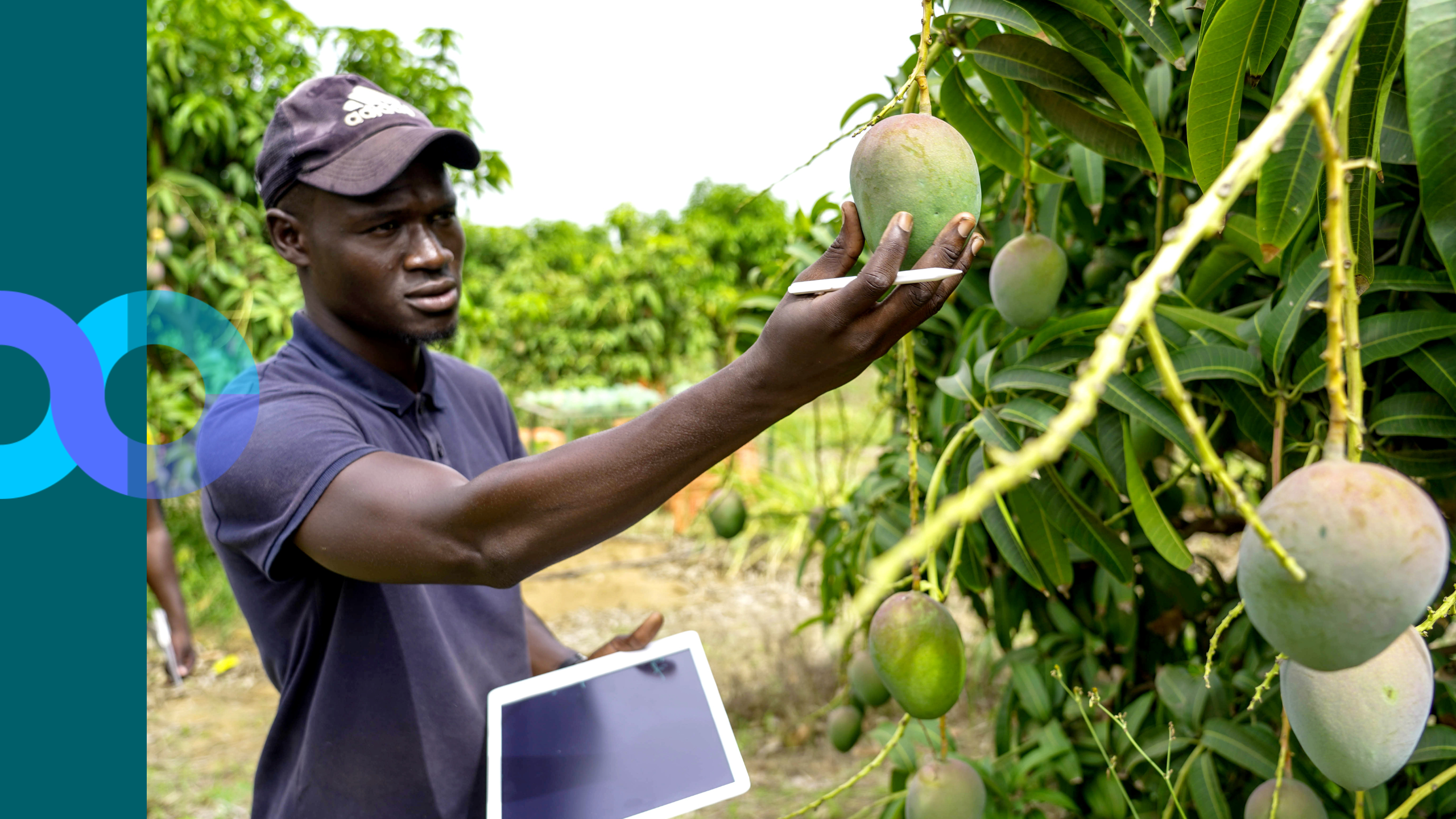 iCRA Expert bite on Phasing out projects